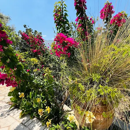 The Villa, Perigiali - Luxury Beachfront * ニドリ