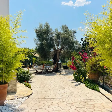 ヴィラ The Villa, Perigiali - Luxury Beachfront *