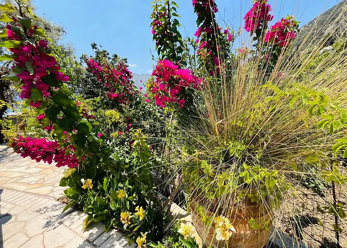 The Villa, Perigiali - Luxury Beachfront * Nydri (Lefkada)